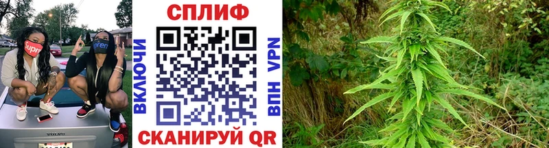 Купить закладку COCAIN  МАРИХУАНА  Мефедрон  ГАШ  Алзамай