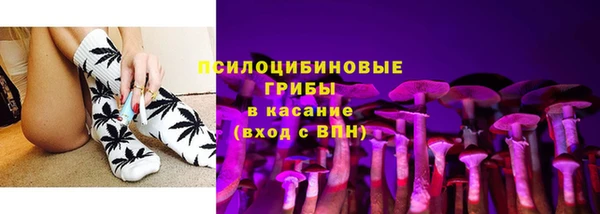 ешки Богданович