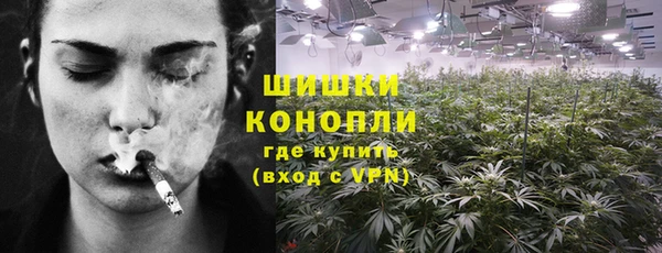 ешки Богданович