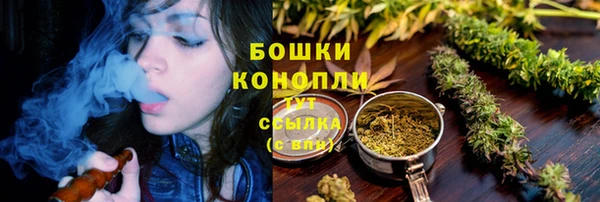 ешки Богданович