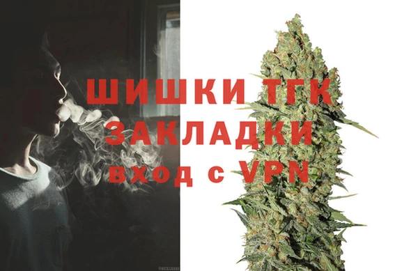 ешки Богданович