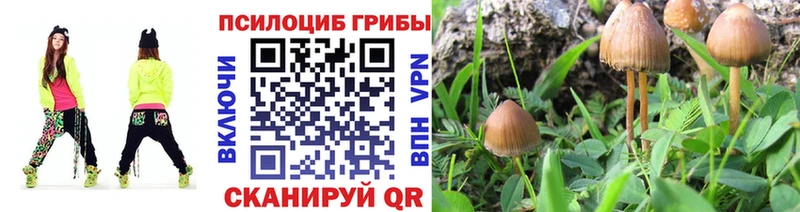 Купить закладки  Алзамай  Галлюциногенные грибы GOLDEN TEACHER 