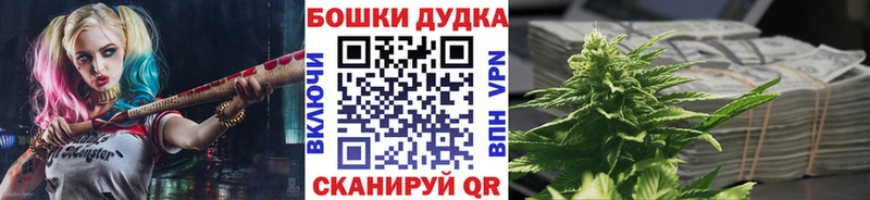 Купить где  Алзамай  Бошки марихуана MAZAR 